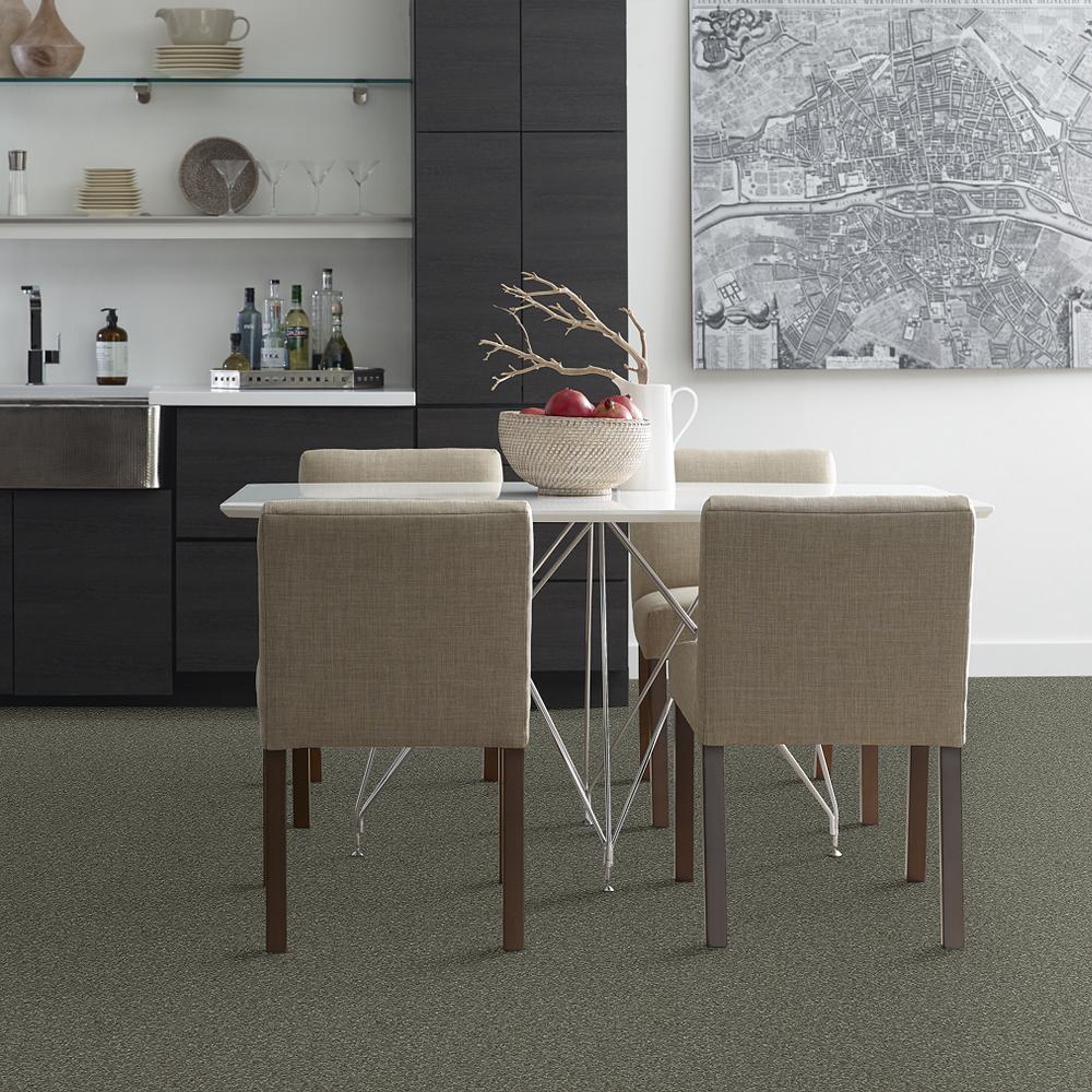 STAINMASTER PetProtect Baxter I Winston Textured Carpet (Indoor) - 12-ft Roll Width