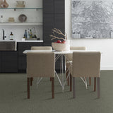 STAINMASTER PetProtect Baxter I Winston Textured Carpet (Indoor) - 12-ft Roll Width