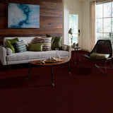 STAINMASTER Essentials Intuition II 15-ft Apache Red Textured Indoor Carpet