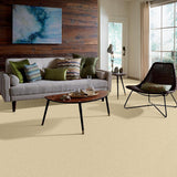STAINMASTER PetProtect Baxter I Spaniel Textured Indoor Carpet, 12-ft Width