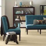 STAINMASTER PetProtect Baxter I Spaniel Textured Indoor Carpet, 12-ft Width