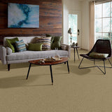 STAINMASTER PetProtect Baxter I Molly Textured Carpet (Indoor, 12-ft Roll Width)