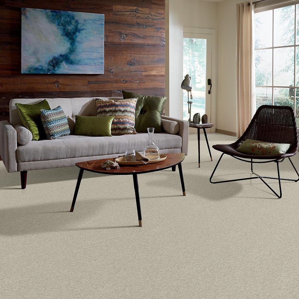 STAINMASTER PetProtect Baxter III Marmaduke Textured Indoor Carpet - 12-ft Roll Width