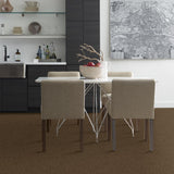 STAINMASTER PetProtect Baxter II Labrador Textured Carpet (Indoor) - 12-ft Roll Width