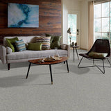 STAINMASTER PetProtect Baxter I Roscoe Textured Indoor Carpet, 12-ft Wide