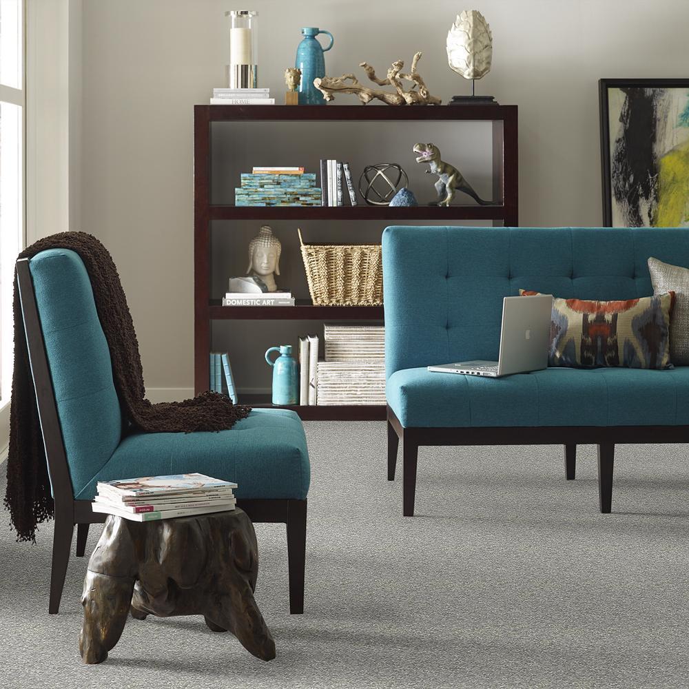 STAINMASTER PetProtect Baxter I Roscoe Textured Indoor Carpet, 12-ft Wide