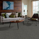 STAINMASTER PetProtect Baxter I Charlie Textured Carpet (Indoor)