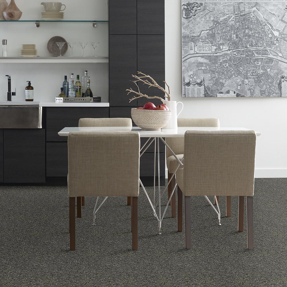 STAINMASTER PetProtect Baxter I Charlie Textured Carpet (Indoor)