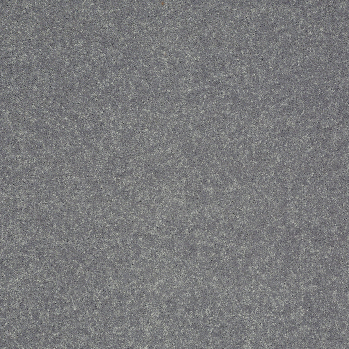 STAINMASTER Essentials Intuition III 12-ft Silver Dollar Textured Carpet Sample (Interior)