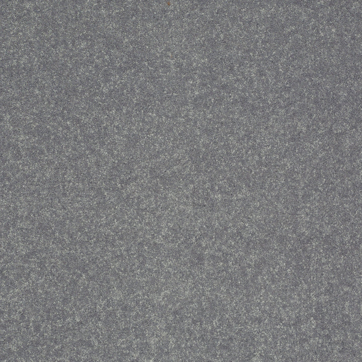 STAINMASTER Essentials Intuition III 12-ft Silver Dollar Textured Carpet Sample (Interior)