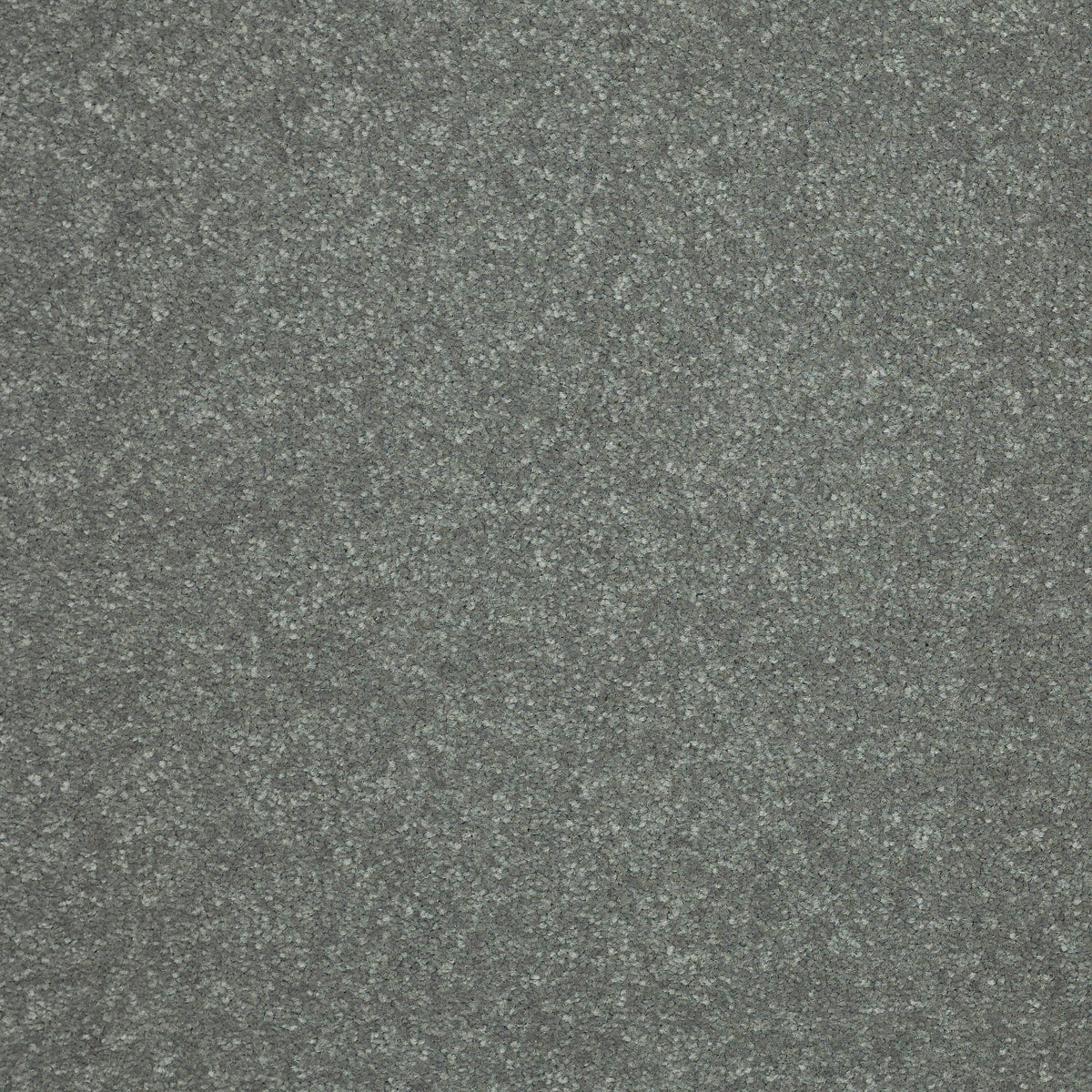 STAINMASTER Essentials Intuition III 12-ft Thunder Cloud Textured Carpet Sample (Interior)