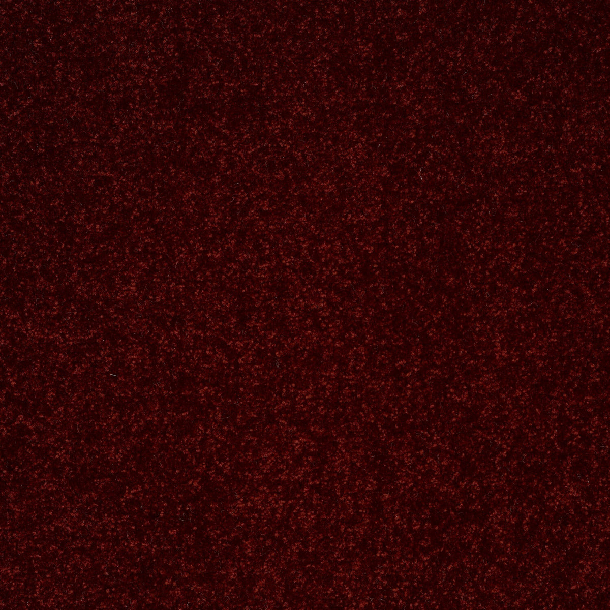 STAINMASTER Essentials Intuition III 12-ft Apache Red Textured Carpet Sample (Interior)