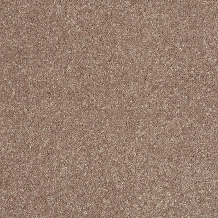 STAINMASTER Essentials Intuition III 12-ft Outer Banks Textured Carpet Sample (Interior)