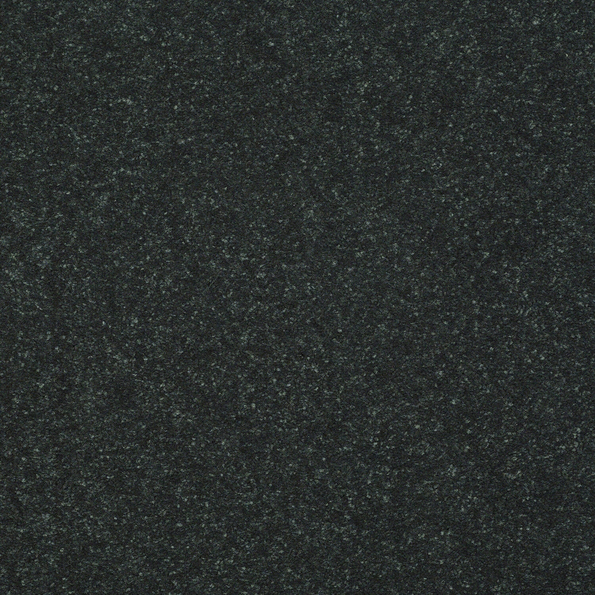 STAINMASTER Essentials Intuition II 12-ft Charcoal Textured Carpet Sample (Interior)