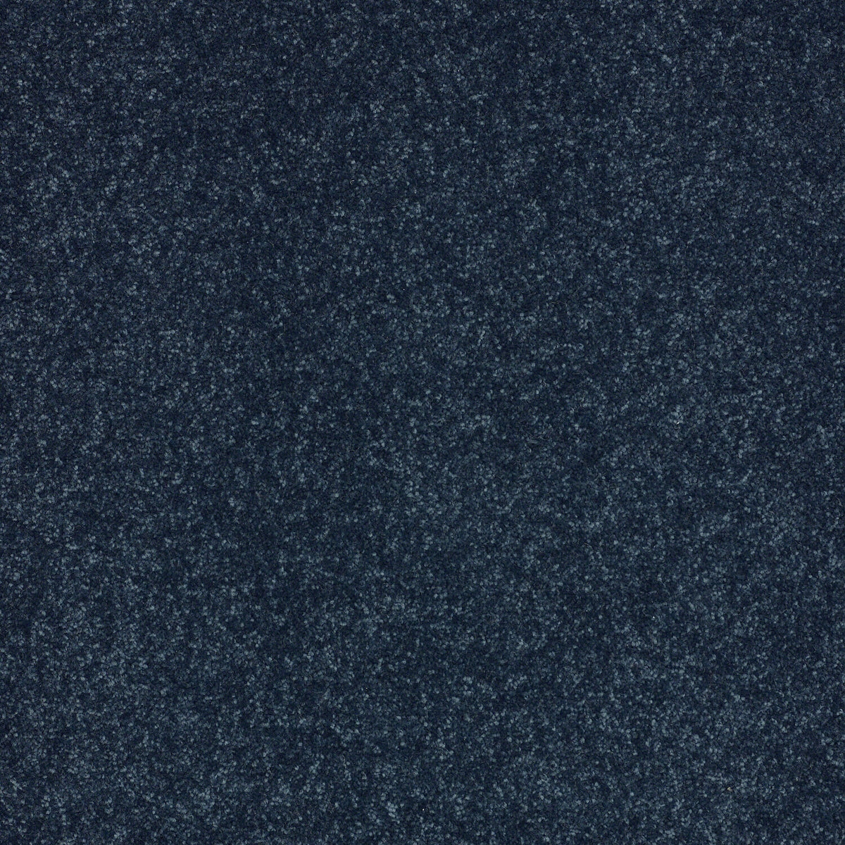 STAINMASTER Essentials Intuition II 12-ft Blue Textured Carpet Sample (Interior)