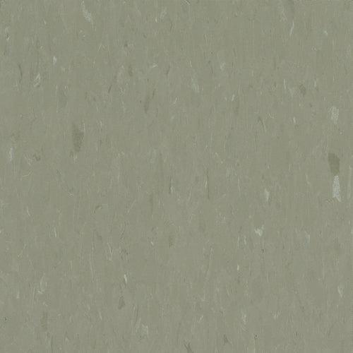 Congoleum Alternatives 45-Piece 12-in x 12-in Sage VCT Tile - Super Arbor