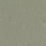 Congoleum Alternatives 45-Piece 12-in x 12-in Sage VCT Tile - Super Arbor