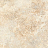 088699294092xl_895559649.jpg