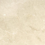 Emser MARBLE Crema Marfil Plus 24-in x 24-in Polished Natural Stone Marble Stone Look Tile