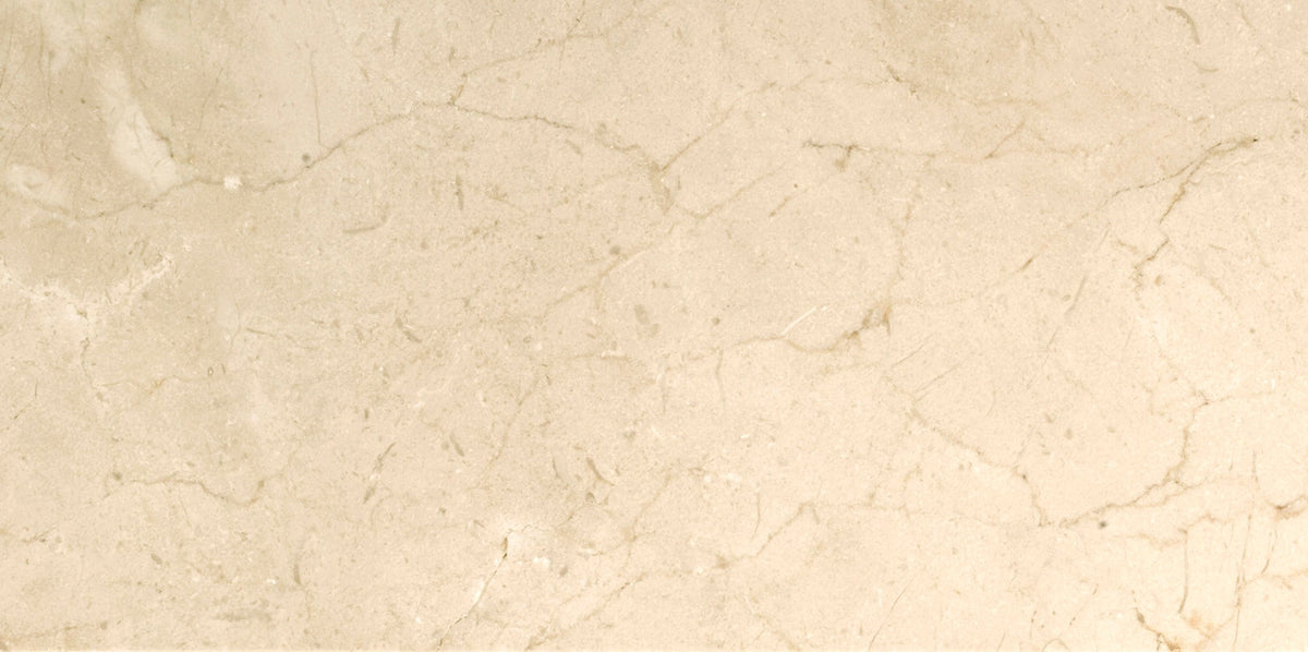Emser Marble Crema Marfil Plus 12-in x 24-in Polished Natural Stone Floor and Wall Tile