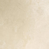 Emser MARBLE Crema Marfil Classico 24-in x 24-in Polished Natural Stone Marble Floor and Wall Tile