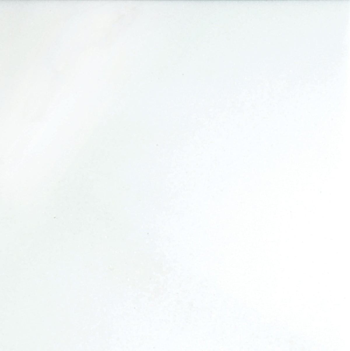 Emser THASSOS WHITE 5-Pack 18-in x 18-in Polished Natural Stone Marble Floor and Wall Tile
