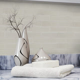 Elida Ceramica Highlight Subway 12-in x 12-in Glossy Glass Subway Wall Tile