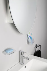 Jacuzzi 21-in x 31-in Surface/Recessed Mount Aluminum Mirrored Oval Medicine Cabinet