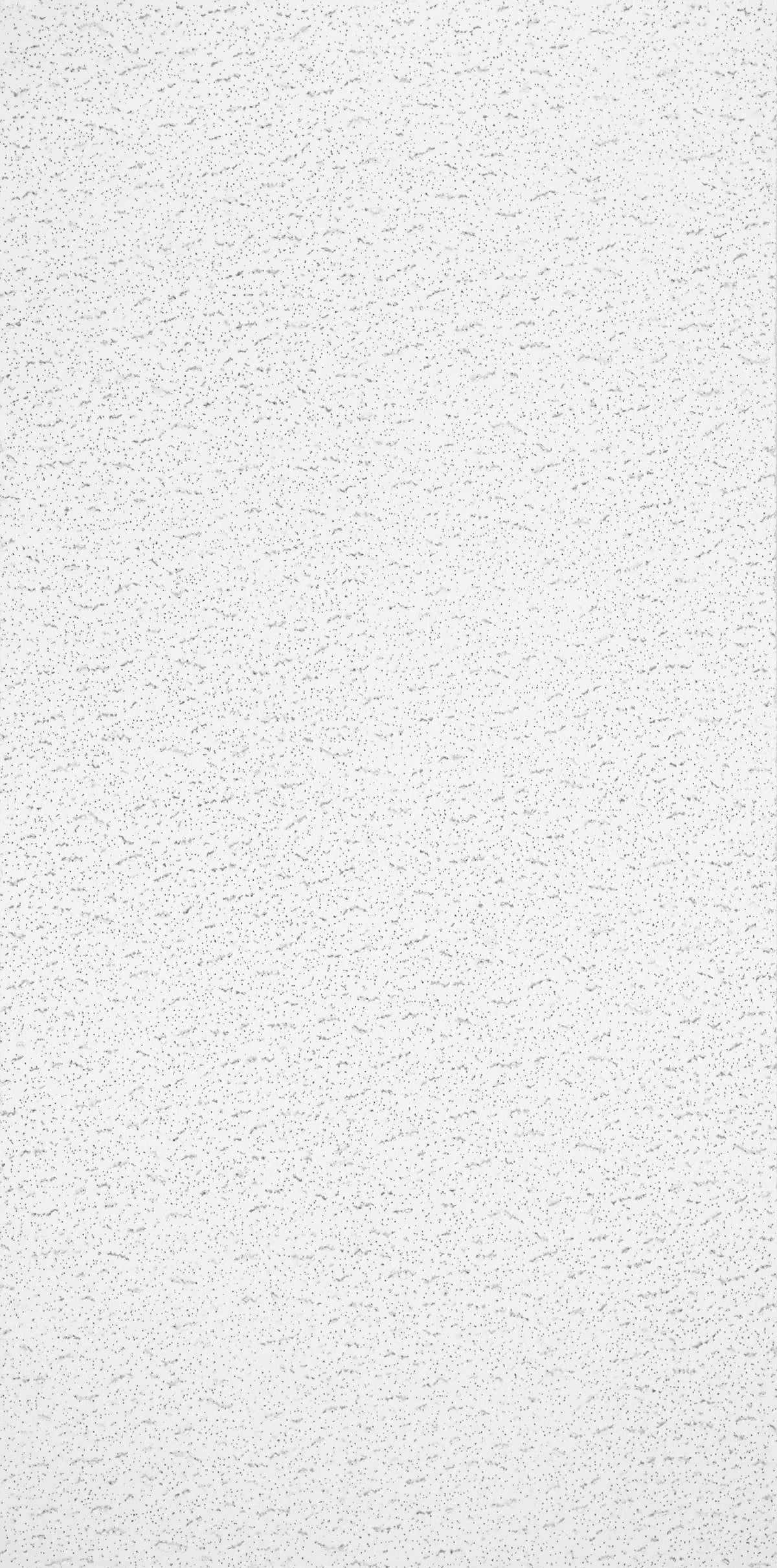 Armstrong Ceilings 48-in x 24-in Textured Contractor White Fissured 15/16-in Drop Acoustic Panel Ceiling Tiles, 10-Pack