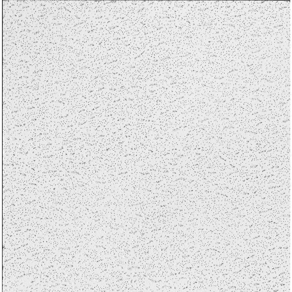 Armstrong Ceilings 24-in x 24-in Textured Contractor White Fissured Drop Acoustic Ceiling Tiles, 16-Pack (15/16-in Grid)