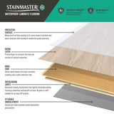 STAINMASTER PetProtect Bellville Acacia 12-mm T x 5-1/4-in W x 47-1/4-in L Waterproof Wood Plank Laminate Flooring (15.46-sq ft / Carton)