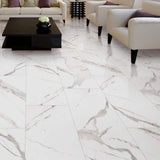 Ader Tegal 24 in. x 48 in. Polished Porcelain Floor and Wall Tile (16 sq. ft./Case)