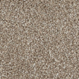 STAINMASTER Beatitude Elsewhere Textured Carpet Sample (Interior), 8-in x 8-in