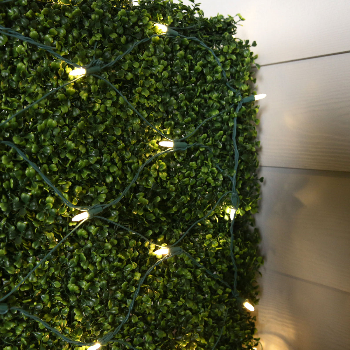GE StayBright 5-ft x 4-ft Sparkling (Random) White LED 100-Count Mini Plug-In Christmas Net Lights