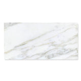 TRUE PORCELAIN CO. Arabescato Gold Polished 12-in x 24-in Polished Porcelain Marble Look Floor and Wall Tile - Super Arbor