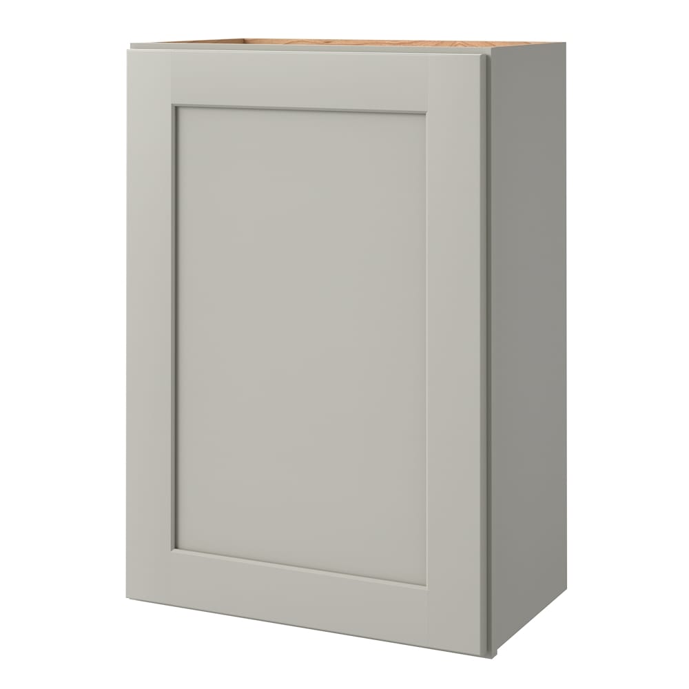 allen + roth Stonewall 21-in W x 36.125-in H x 12-in D Stone Wall Fully Assembled Cabinet (Flat Panel Shaker Door Style)