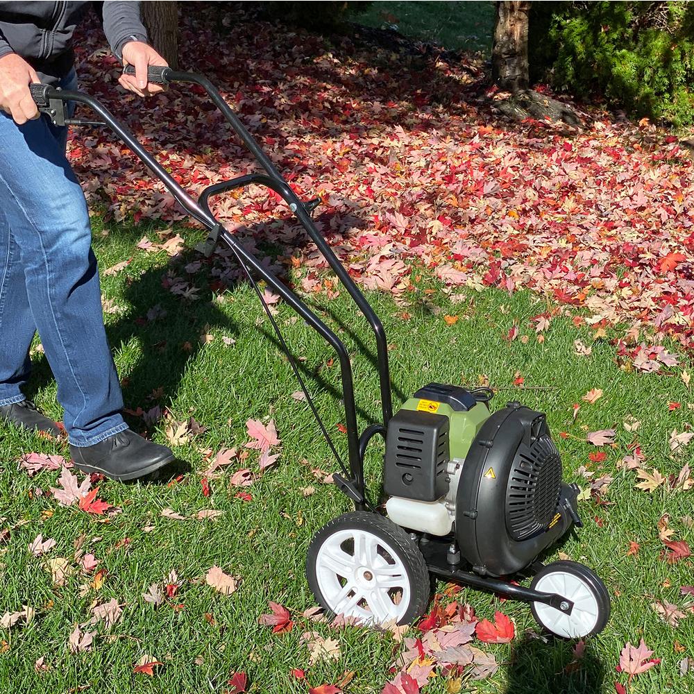 Sportsman 230 MPH 450 CFM 52 cc Gas Powered Walk-Behind Leaf Blower - Super Arbor