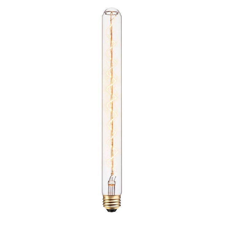 Globe Electric 60-Watt Designer Vintage T12 Incandescent Twister Light Bulb