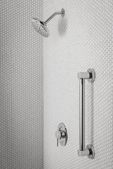 Moen Align 42-in Brushed Nickel Wall Mount (ADA Compliant) Grab Bar