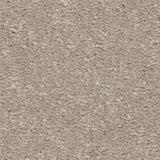 STAINMASTER Essentials Blue Diamonds III 15-ft Greige Textured Carpet (Indoor)