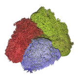 Mosser Lee 3 oz. Reindeer Moss Assorted Collection - Super Arbor