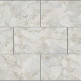 Ashen Grove Marble 22 MIL x 11.9