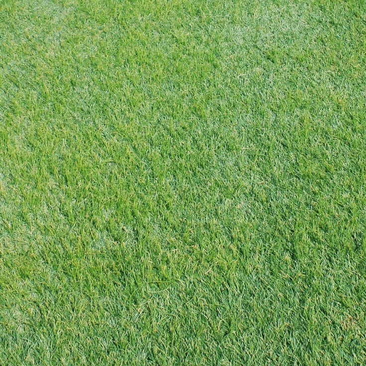 EZ Hybrid Turf 6-1/2 x 10 ft. Artificial Grass
