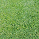 EZ Hybrid Turf 6-1/2 x 10 ft. Artificial Grass