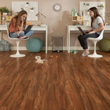 STAINMASTER PetProtect Bellville Acacia 12-mm T x 5-1/4-in W x 47-1/4-in L Waterproof Wood Plank Laminate Flooring (15.46-sq ft / Carton)