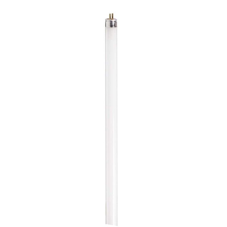 Philips 13-Watt 21 in. Linear T5 Fluorescent Tube Light Bulb Cool White (4100K)