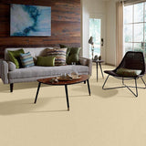STAINMASTER PetProtect Baxter I Spaniel Textured Carpet (Indoor)