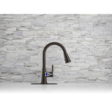 Tyne Single-Handle Pull-Down Sprayer Kitchen Faucet in Oil-Rubbed Bronze - Super Arbor