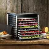 Mighty Bite 10-Tray Black Food Dehydrator with Temperature Control