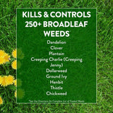 GreenView 39 lbs. Weed and Feed